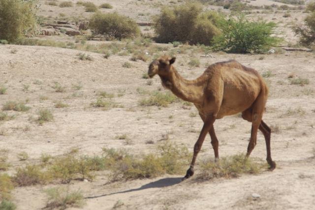 Urlaub in Iran 2018